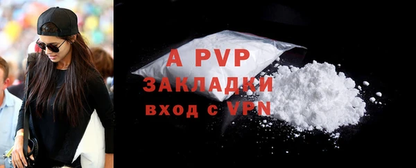 дживик Верхний Тагил