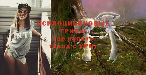 дживик Верхний Тагил