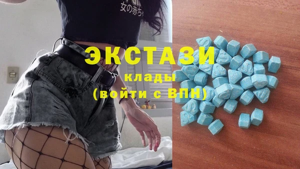 дживик Верхний Тагил