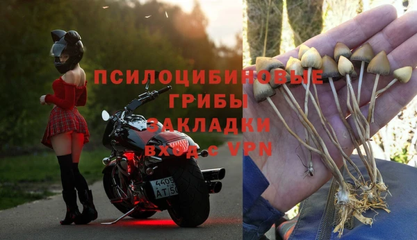 прущие крисы Верея