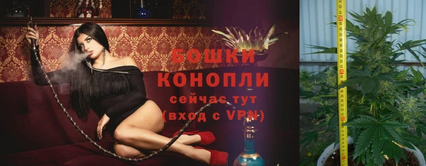 прущие крисы Верея
