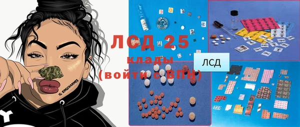 дживик Верхний Тагил