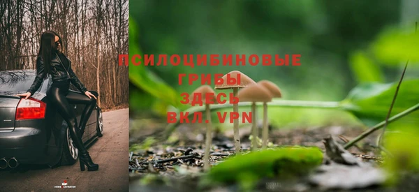 дживик Верхний Тагил