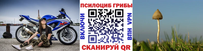 Галлюциногенные грибы ЛСД  Далматово 